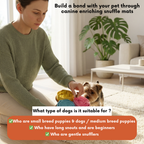 Woman playing with a dog using snuffle mats in a living room.