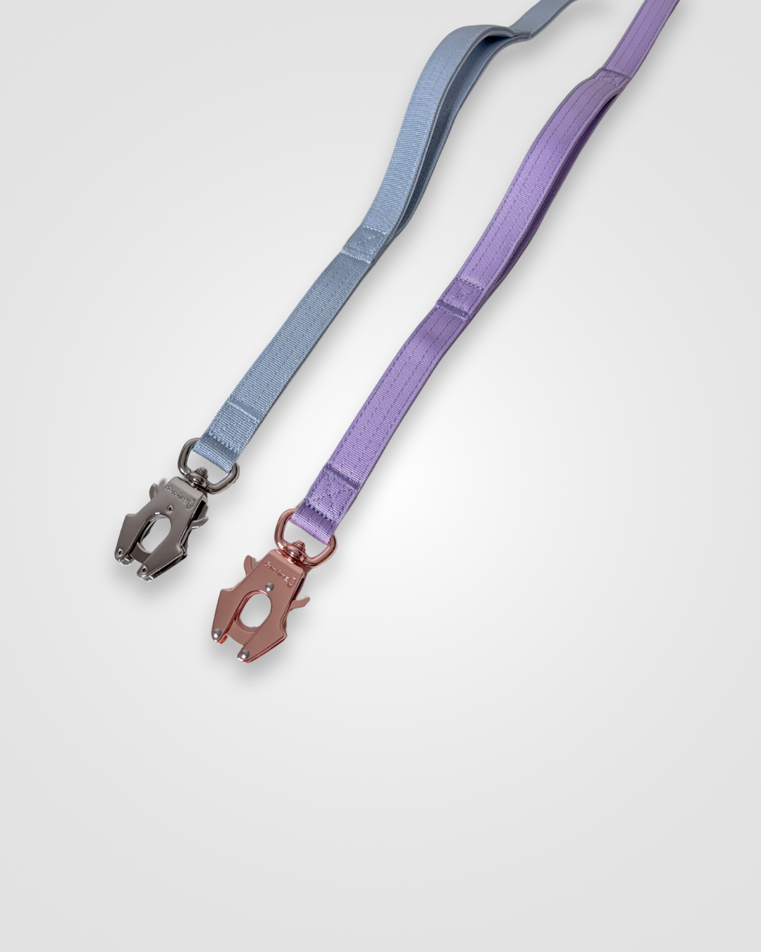 Two dog leashes with different color schemes on a light gray background
