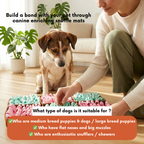 Person and dog interacting with colorful snuffle mats in a home setting