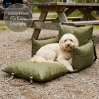 Dog lying on a green pet bed with a picnic table in the background