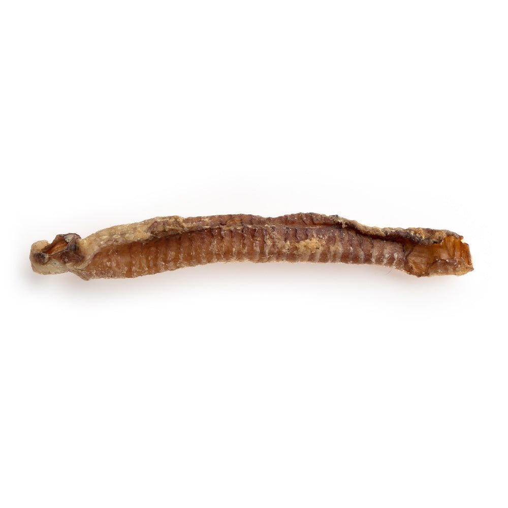 Brown lamb dyed trachea on a white background