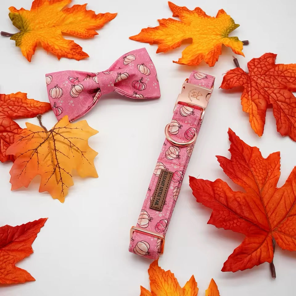 Pink dog collar with bow tie surrounded by autumn leaves on a white background
