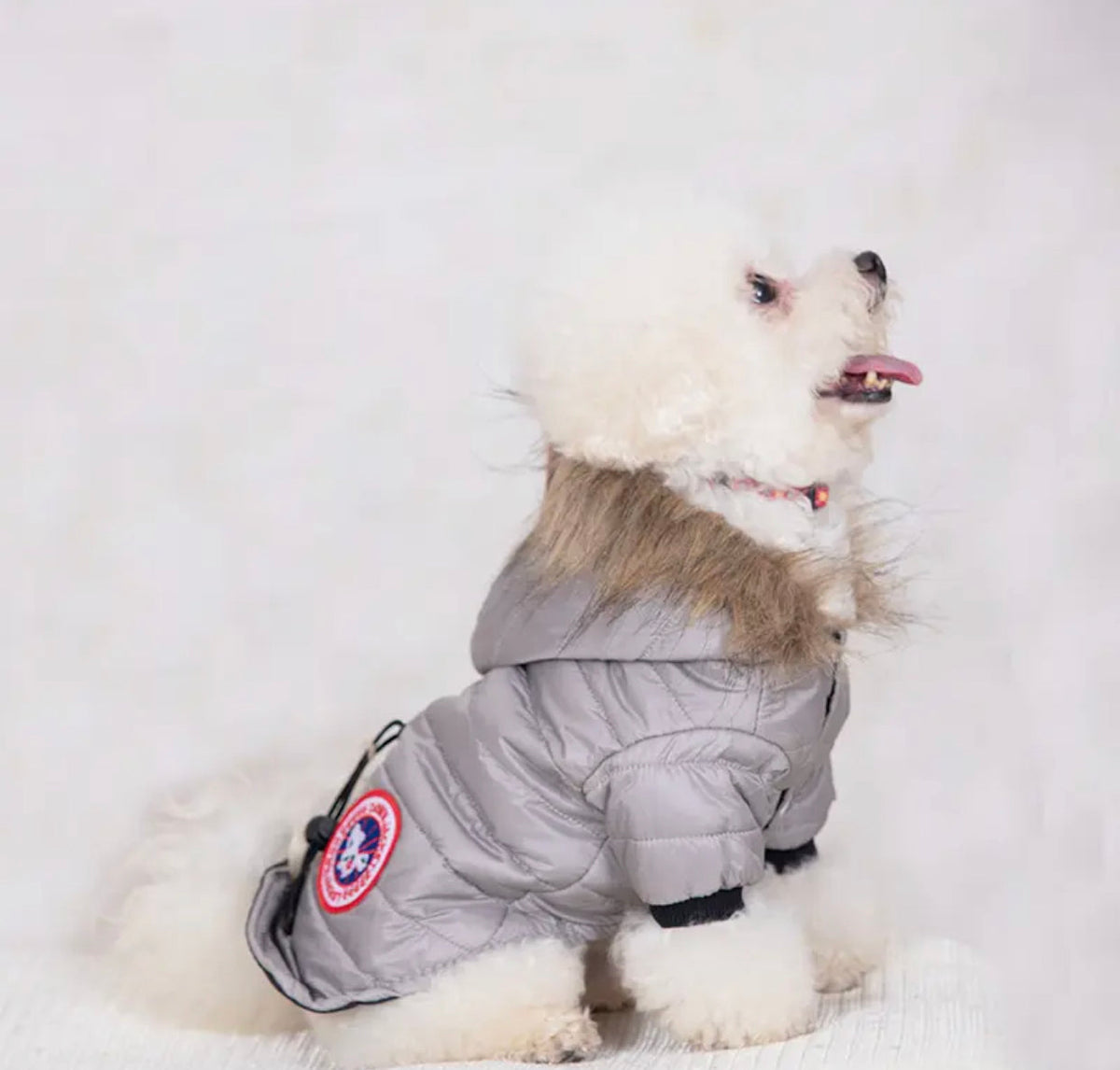 Dog wearing a gray winter coat with a brand logo on a white background