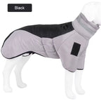 Dog wearing a gray winter coat on a white background
