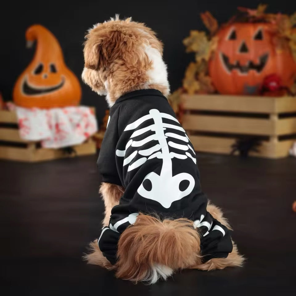Dog wearing a skeleton costume in front of Halloween-themed decorations.