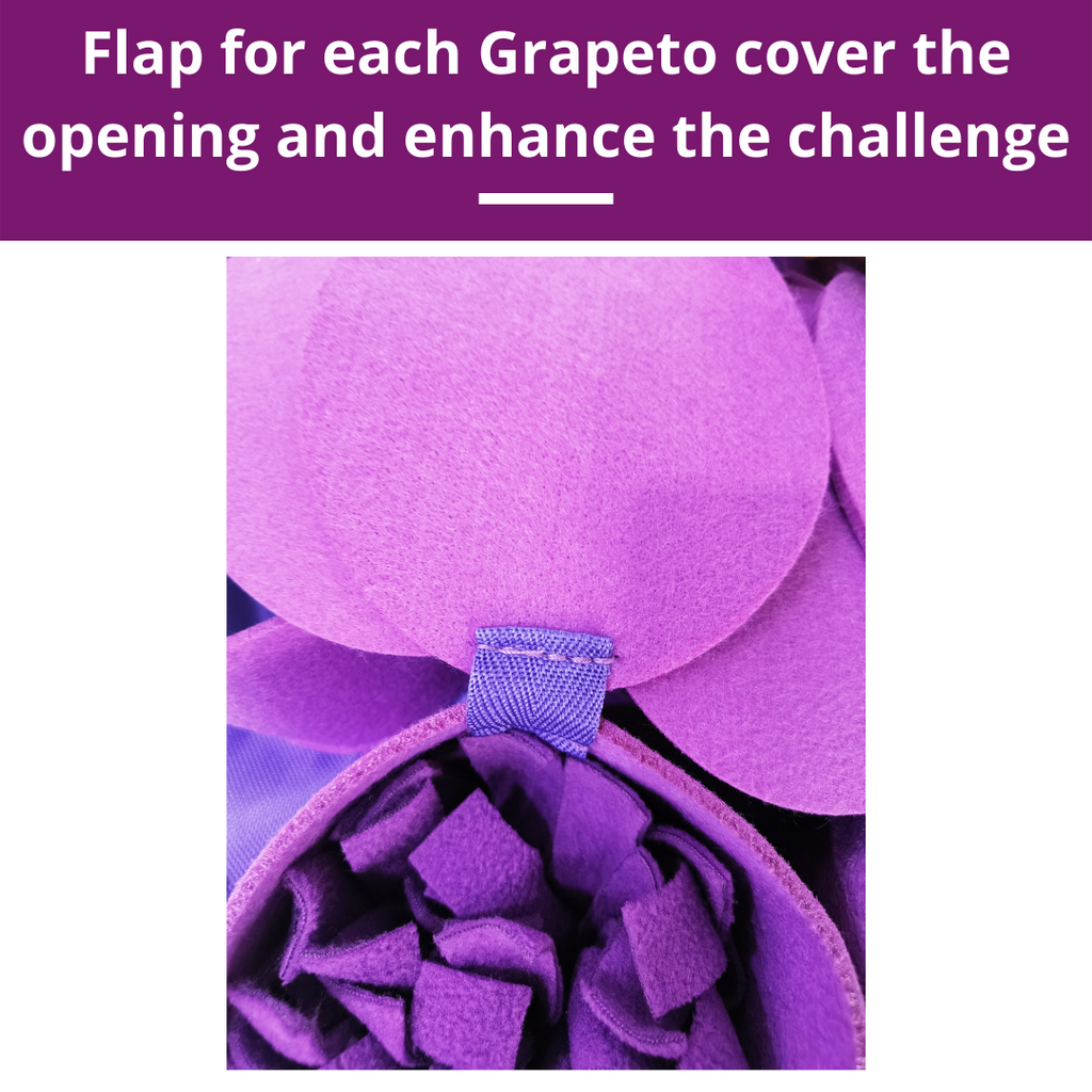 Purple flap cover for Grapeto with text on a purple background