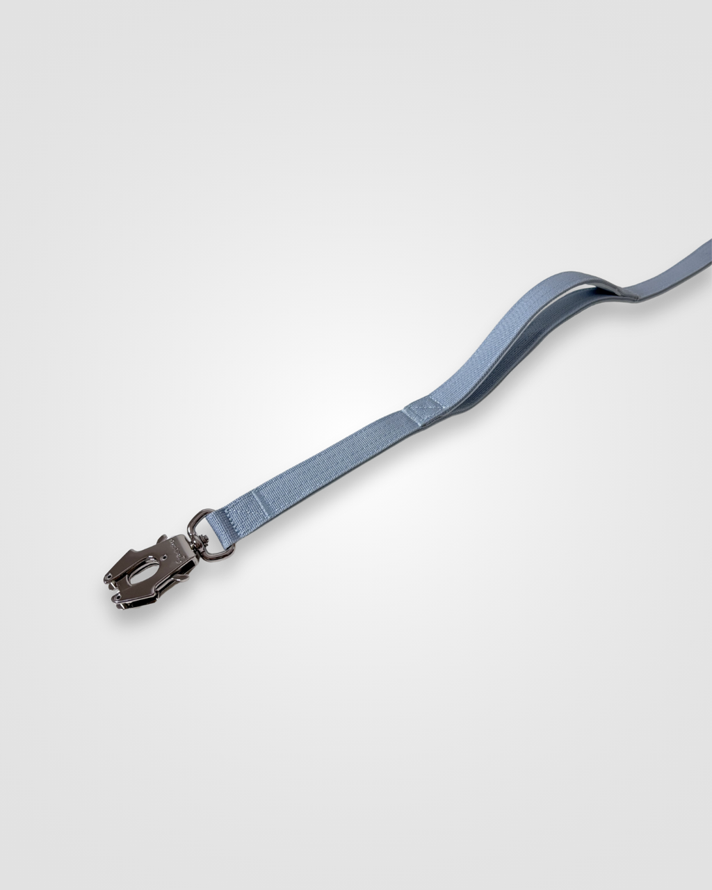 Blue dog leash with a metal clip on a white background