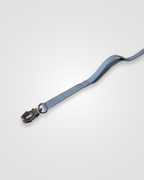Blue dog leash with a metal clip on a white background