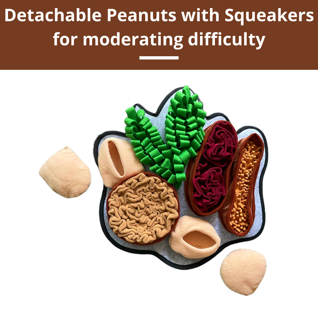 Dog toy with detachable peanuts and squeakers on a white background