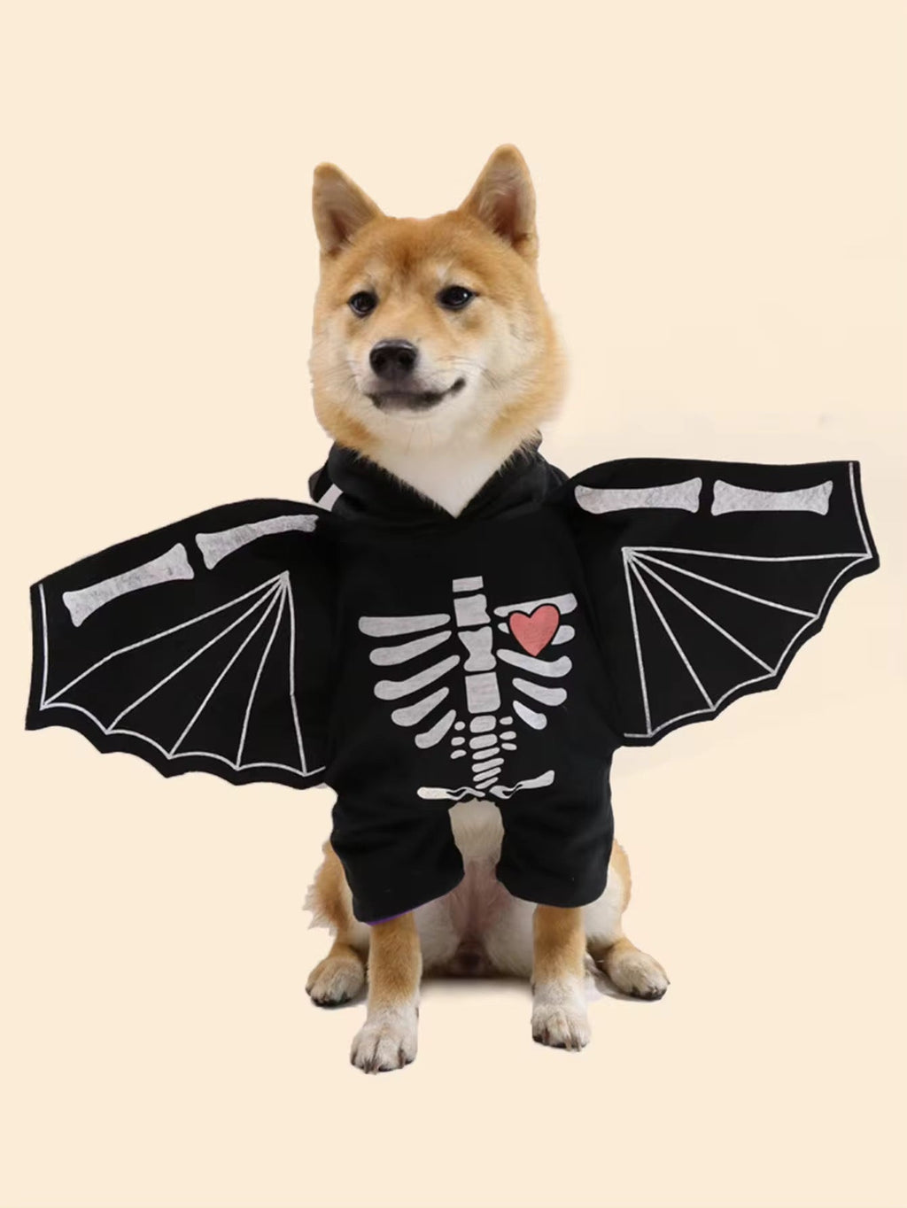 Dog wearing a black hoodie with skeleton design and bat wings on a beige background