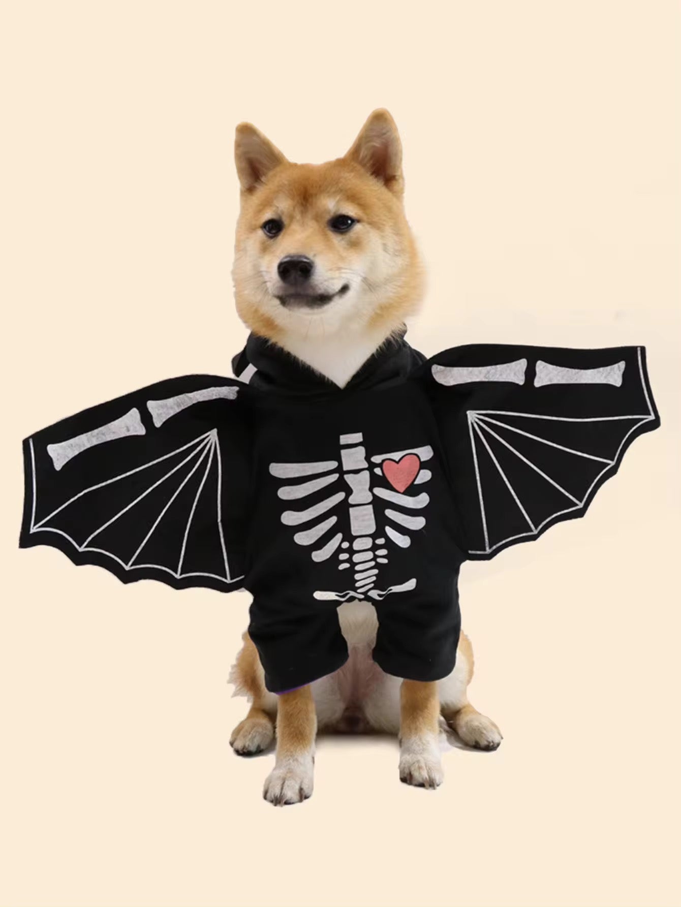 Dog wearing a black hoodie with skeleton design and bat wings on a beige background