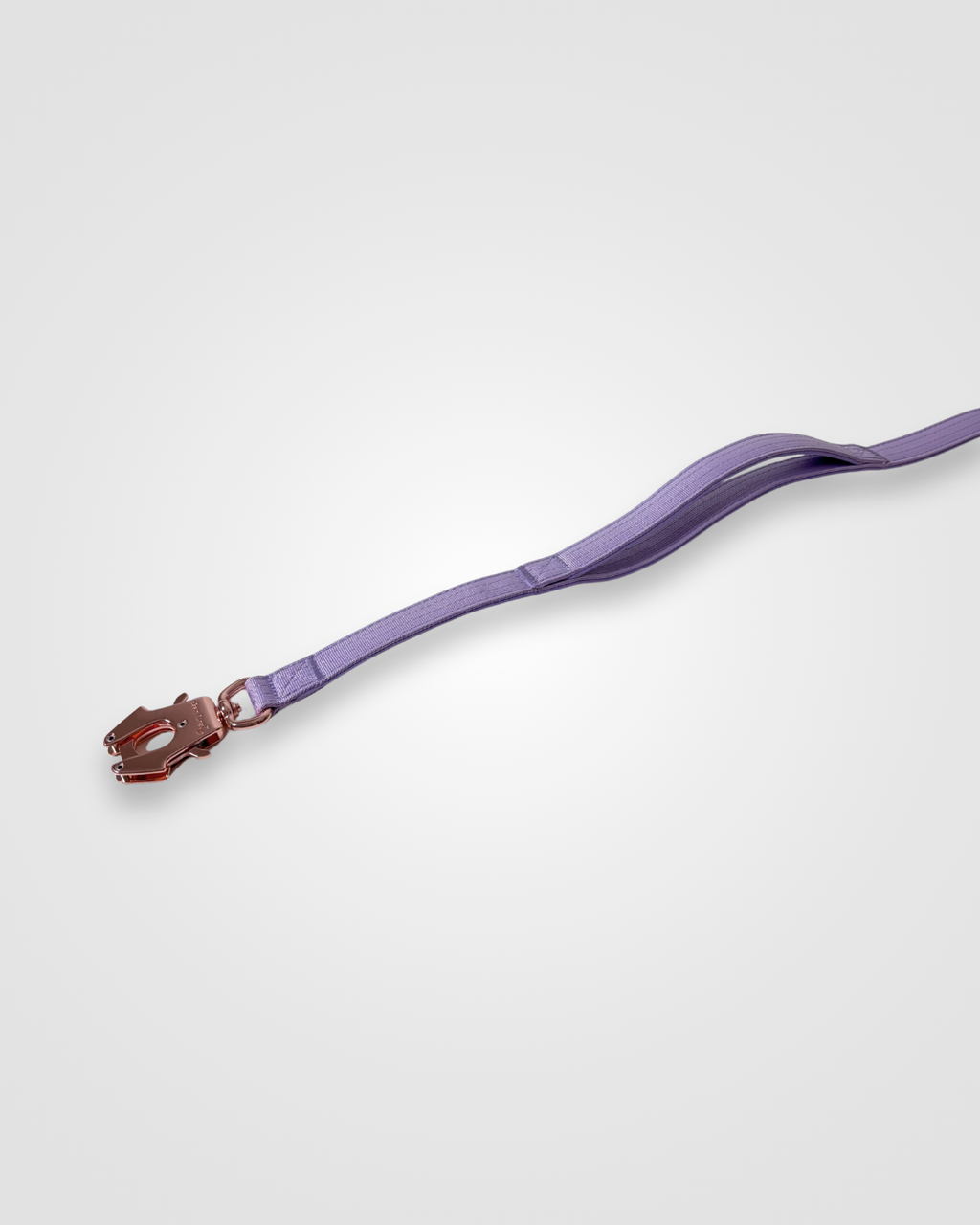 Purple dog leash with a brass clip on a white background