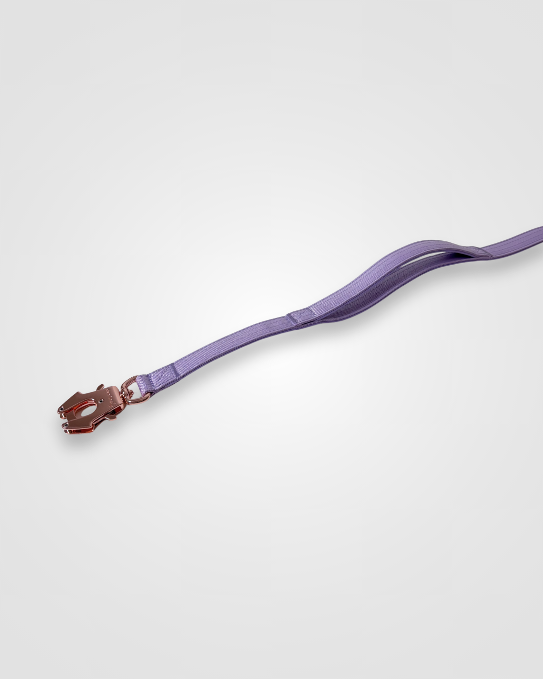 Purple dog leash with a brass clip on a white background