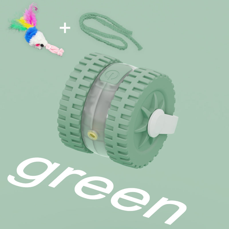 Green pet toy with colorful feather on a light green background