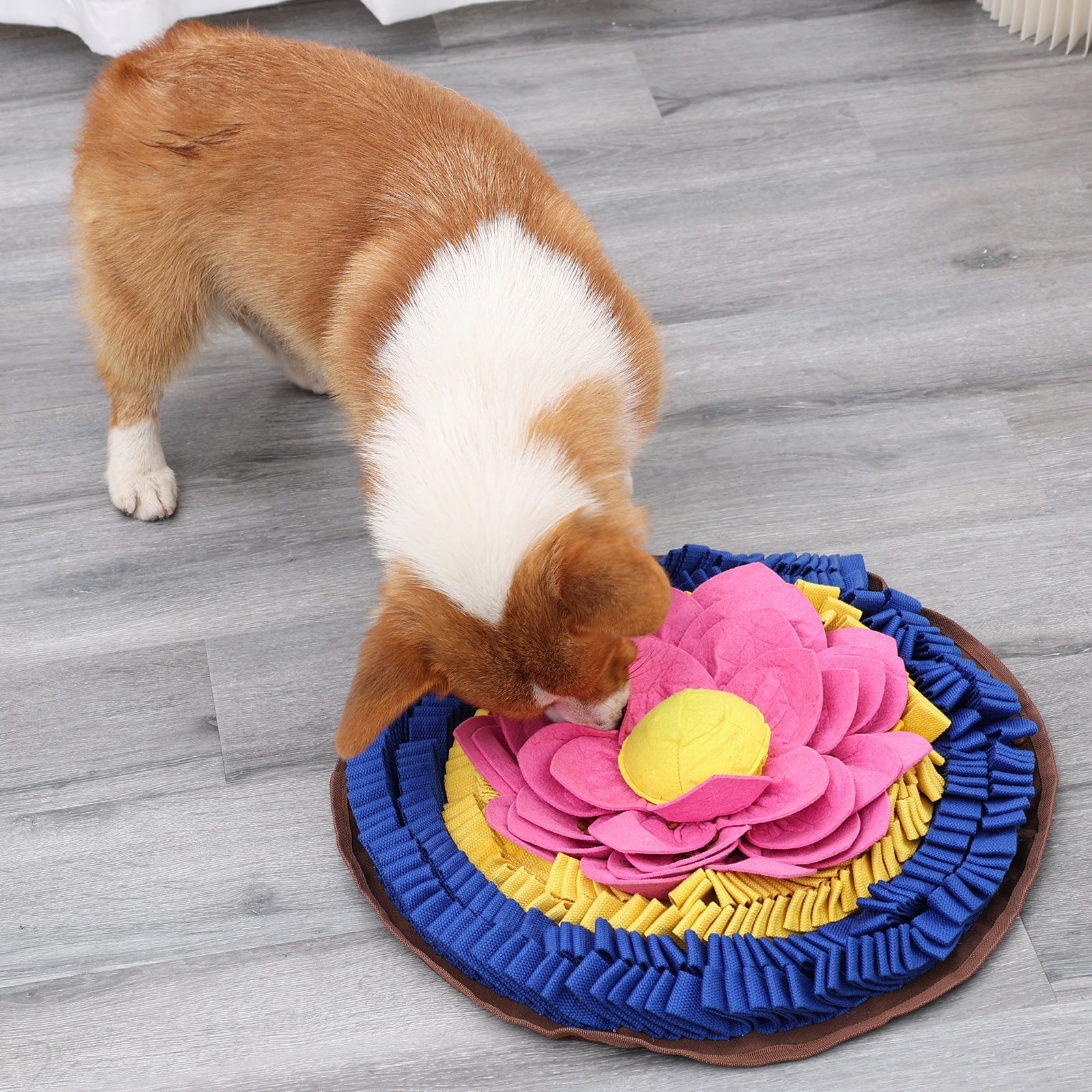 Dog interacting with a colorful flower-shaped snuffle mat on a wooden floor.