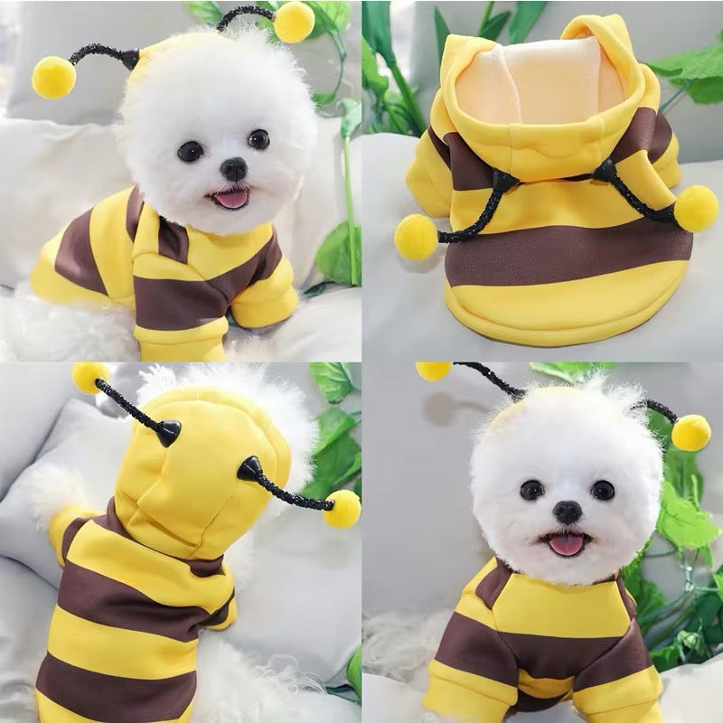 Dog wearing a bee-themed costume with yellow and brown stripes, sitting on a white surface with green plants in the background.