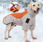 Dog wearing a winter coat with an inset showing a close-up of the zipper mechanism, set against a snowy background.