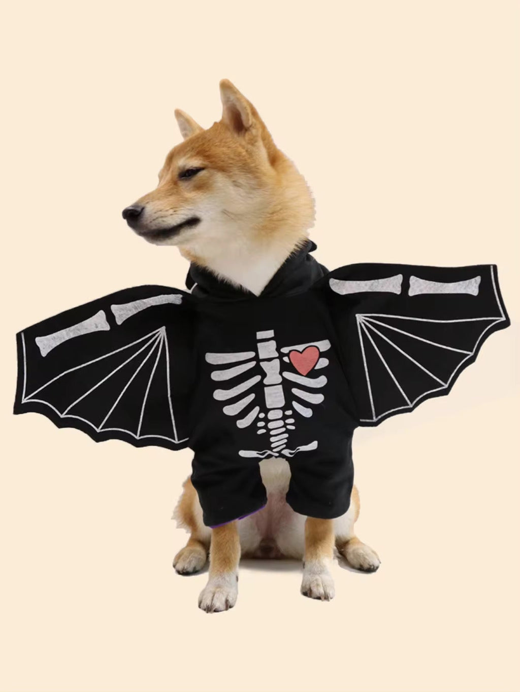 Dog wearing a black hoodie with skeleton design and bat wings on a beige background