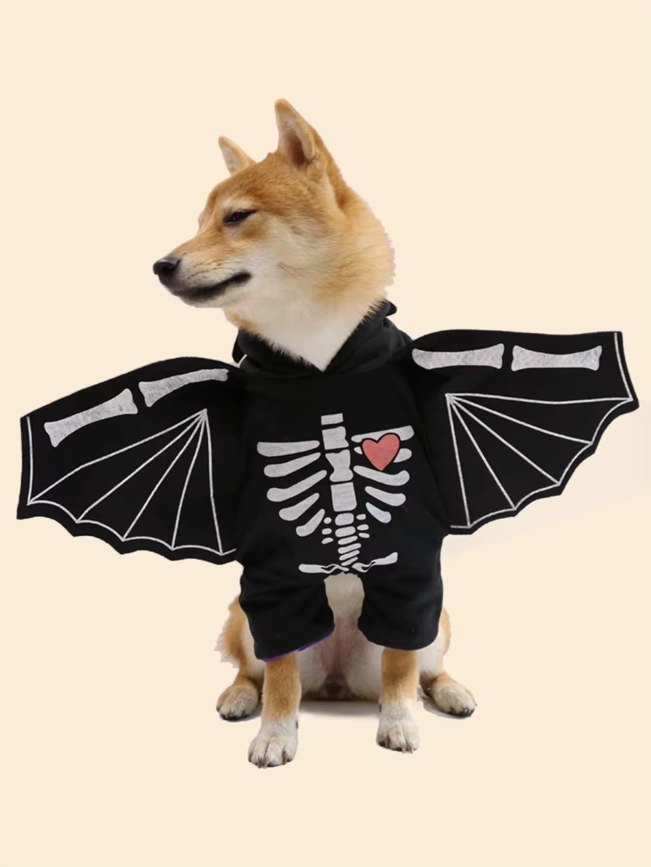 Dog wearing a black hoodie with skeleton design and bat wings on a beige background