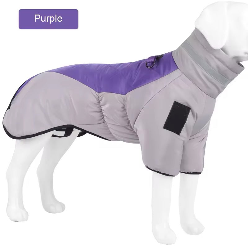 Gray and purple dog coat on a mannequin with a purple label indicating color.