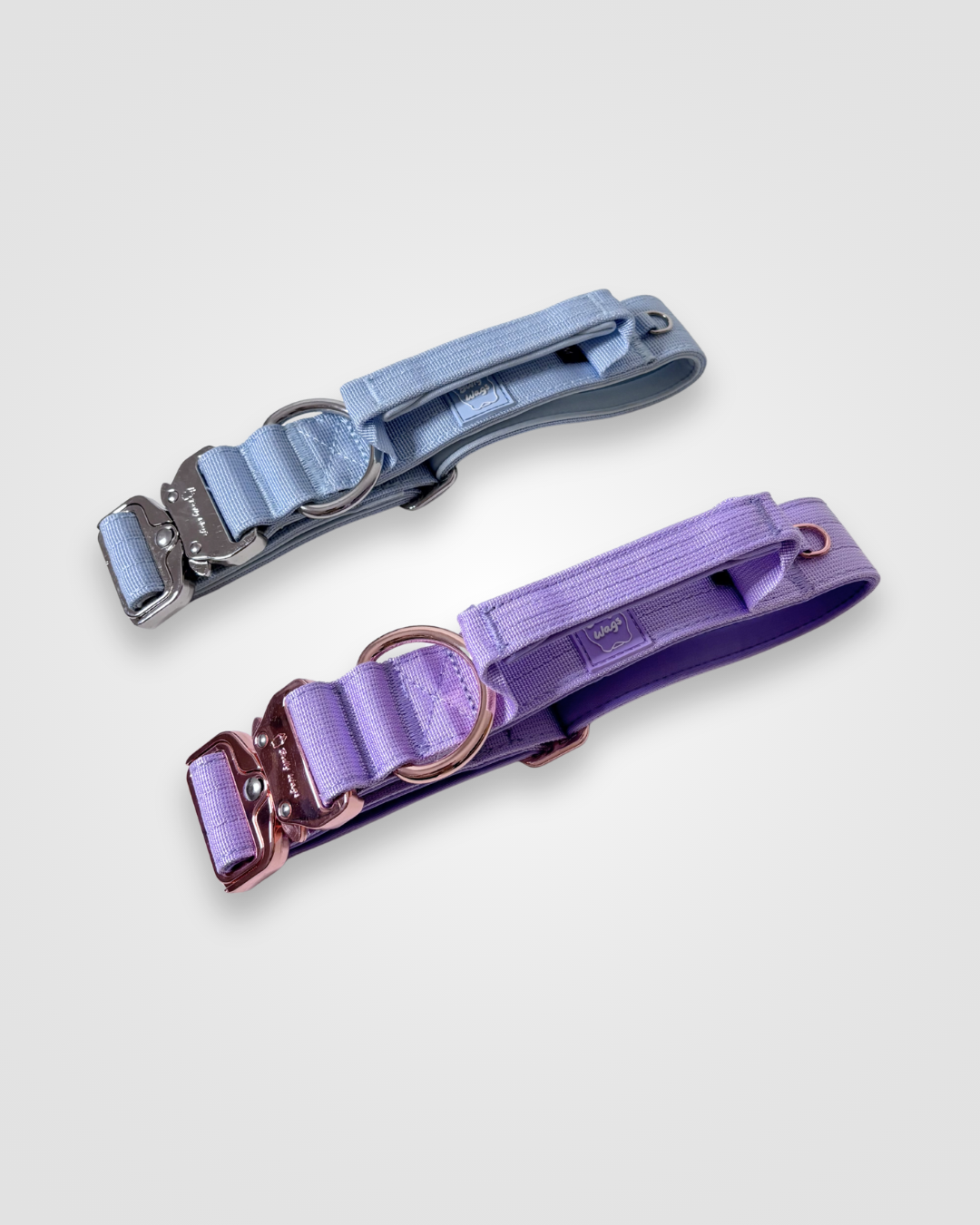 Two dog collars, one blue and one purple, on a light gray background.