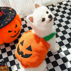 Dog in a pumpkin costume on a checkered floor with Halloween decorations.