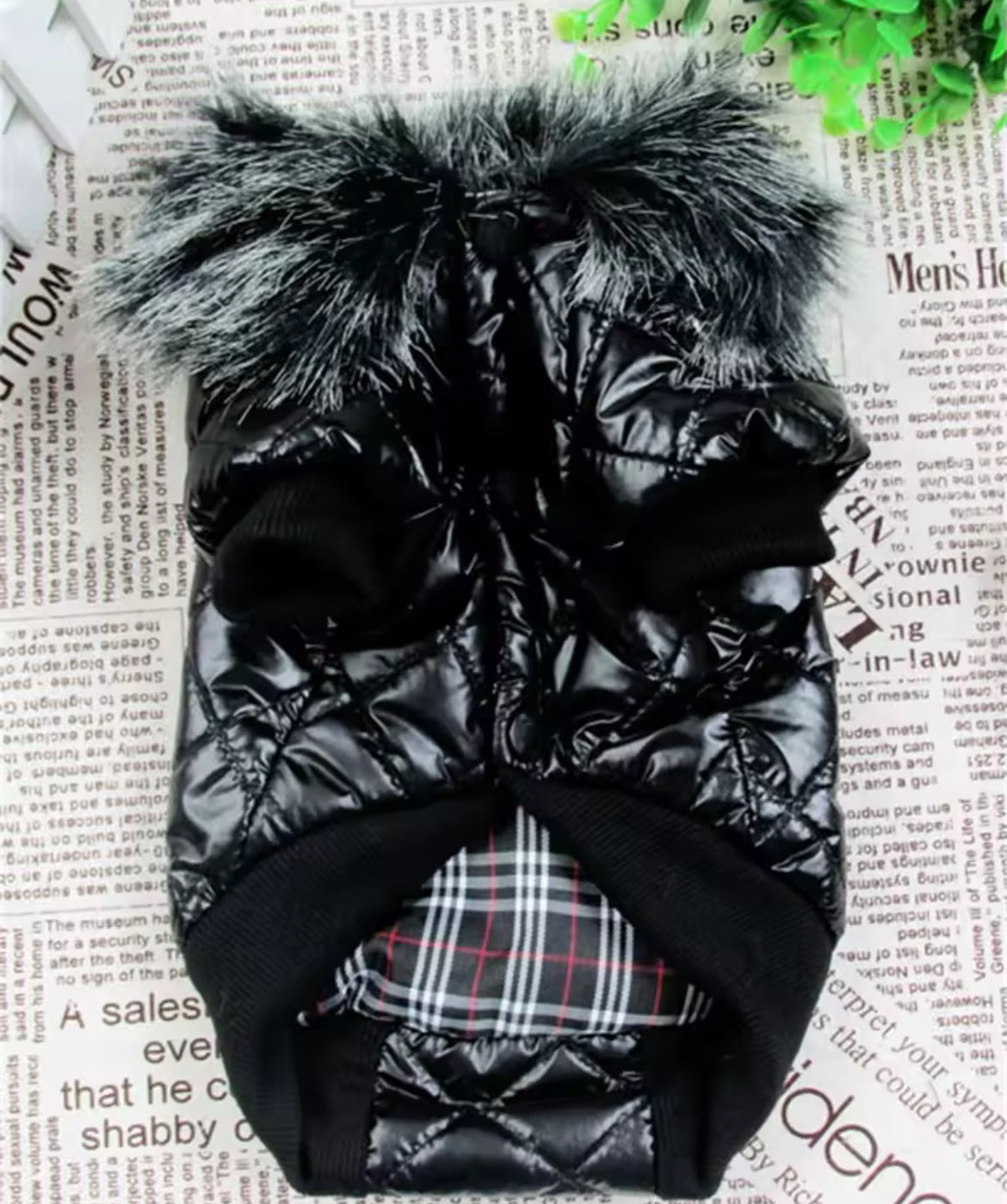 Black quilted dog coat with fur hood on a newspaper background