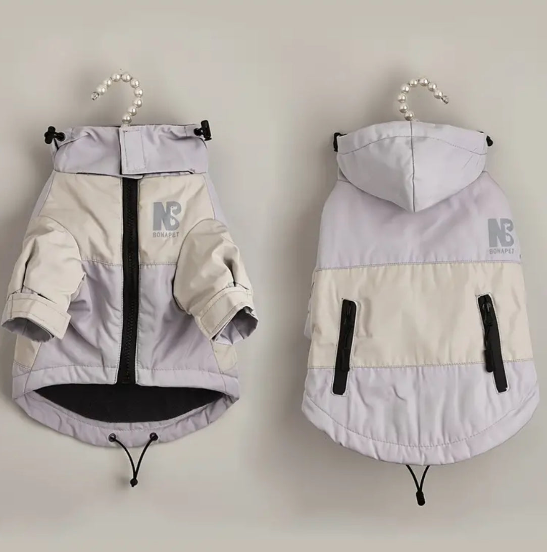 Two dog coats on hangers against a plain background