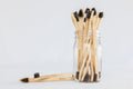 Bamboo pet toothbrushes