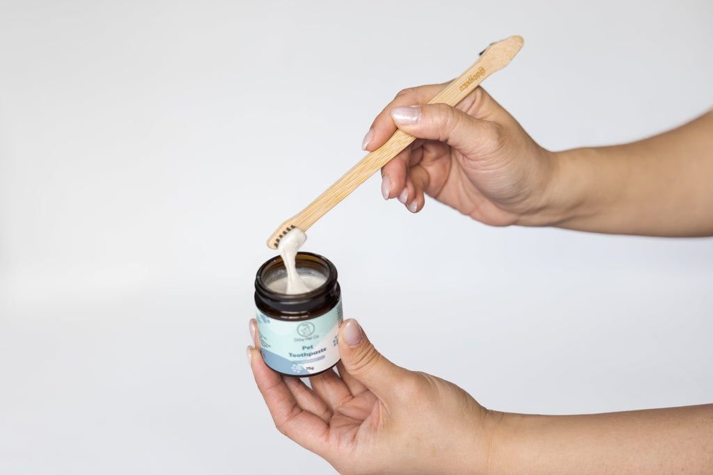 Bamboo pet toothbrush with pet toothpaste