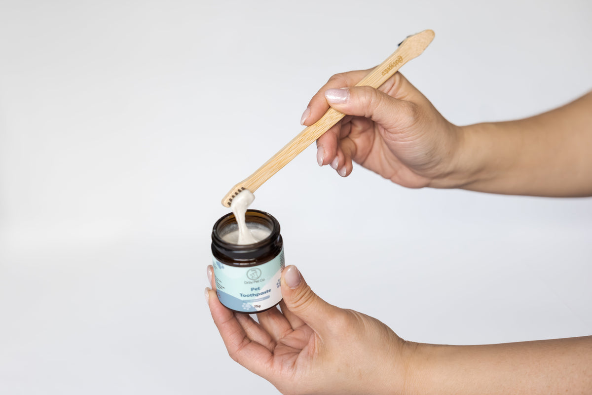 Bamboo pet toothbrush with pet toothpaste
