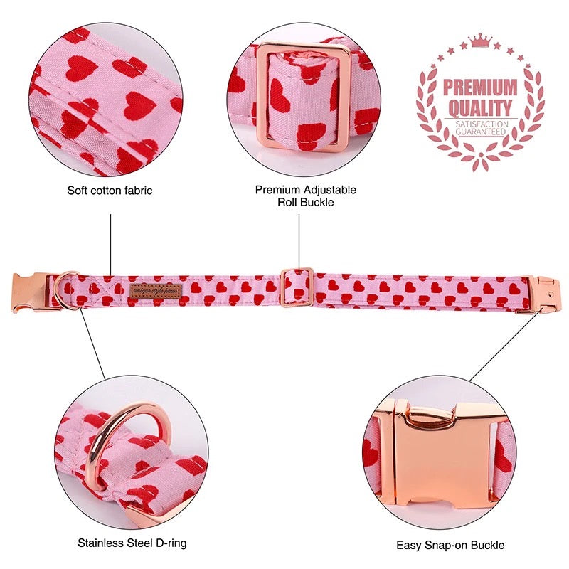Heart-patterned dog collar with features highlighted on a white background
