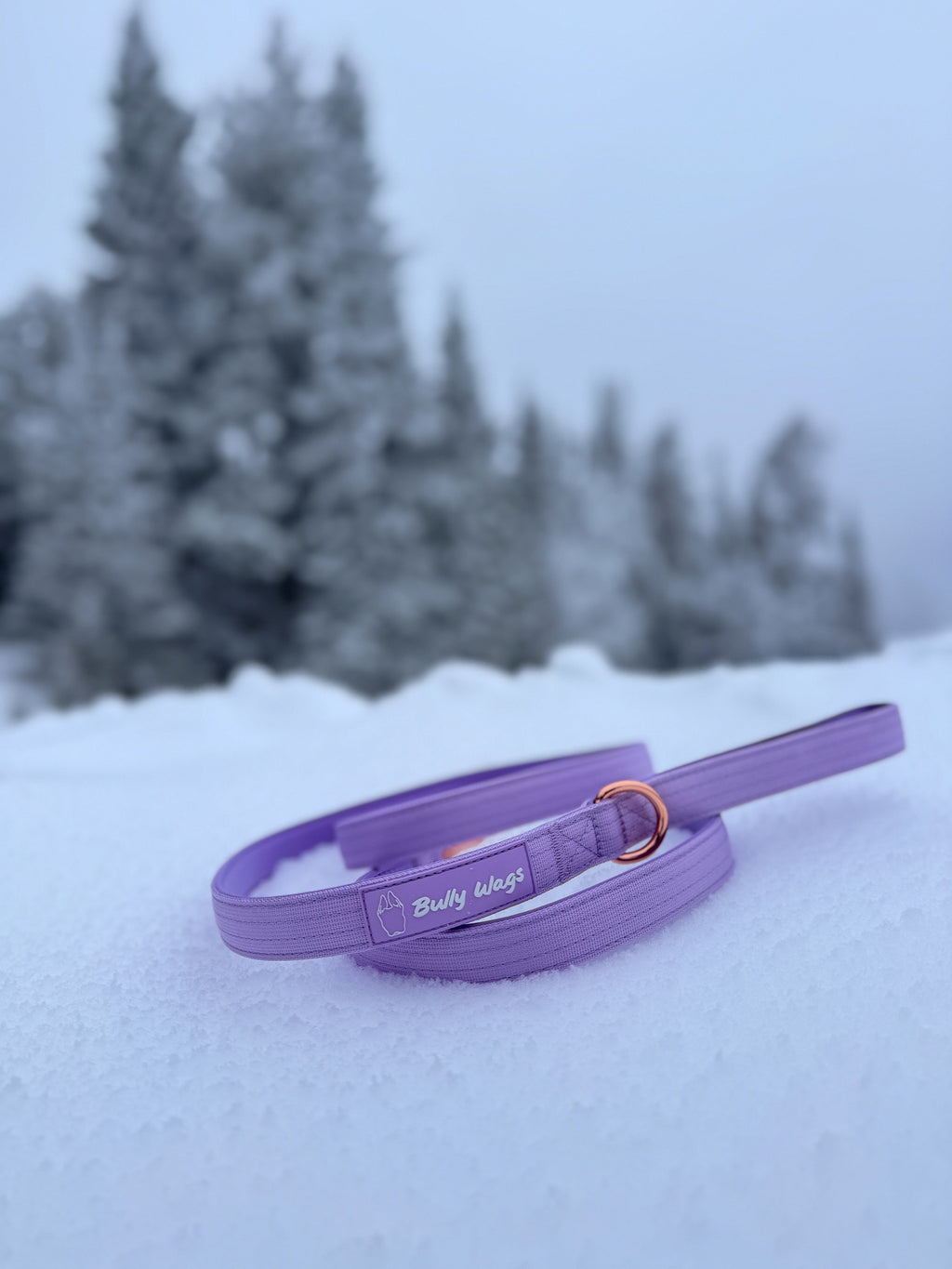Purple dog leash with a brand logo on a snowy ground with trees in the background