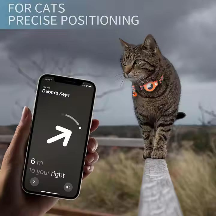 Cat wearing a collar with a smartphone app displaying 'Debra's Keys' and '6 m to your right' on a scenic background.