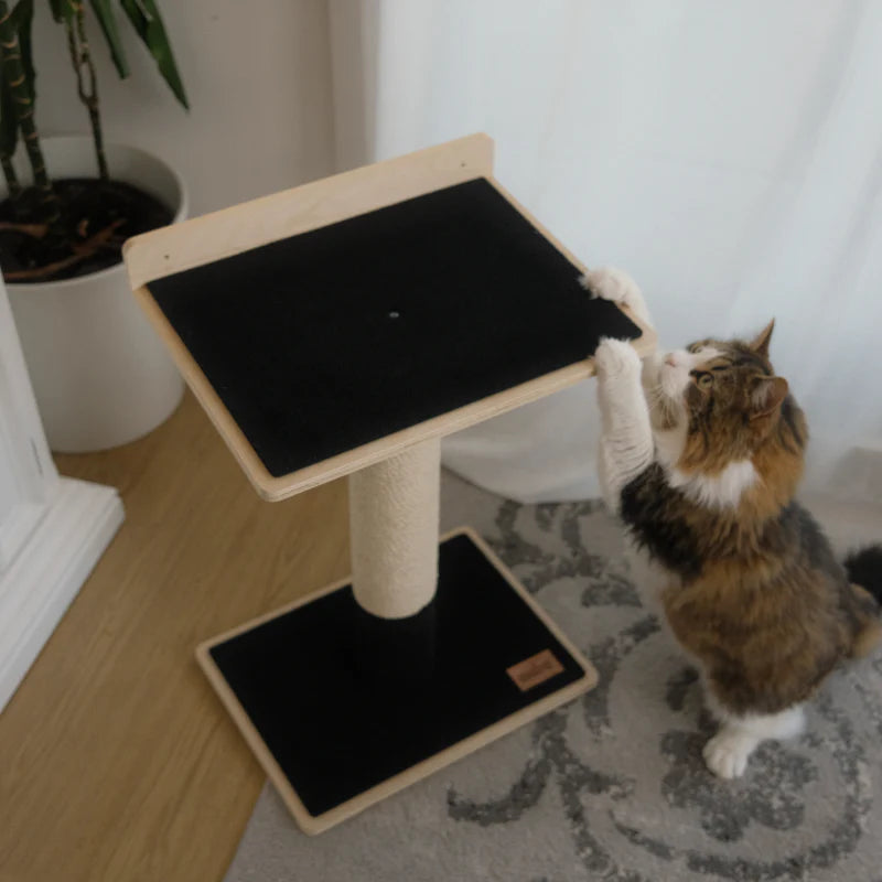 Cat climbing a wooden cat tree with black platforms in a home setting.