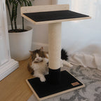 Cat sitting on a wooden cat tree with a black platform in a home setting.