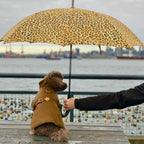 Person holding a leopard print umbrella over a dog in a coat by a waterfront with a city skyline.