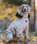 Dog wearing a beige snowsuit standing on a leaf-covered ground with blurred trees in the background