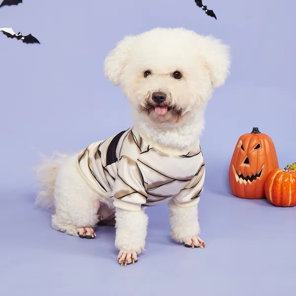White dog wearing a mummy costume with Halloween pumpkins and bats in the background.