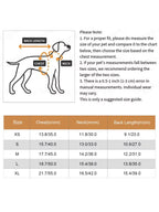 Dog size chart with measurements for chest, neck, and back length.
