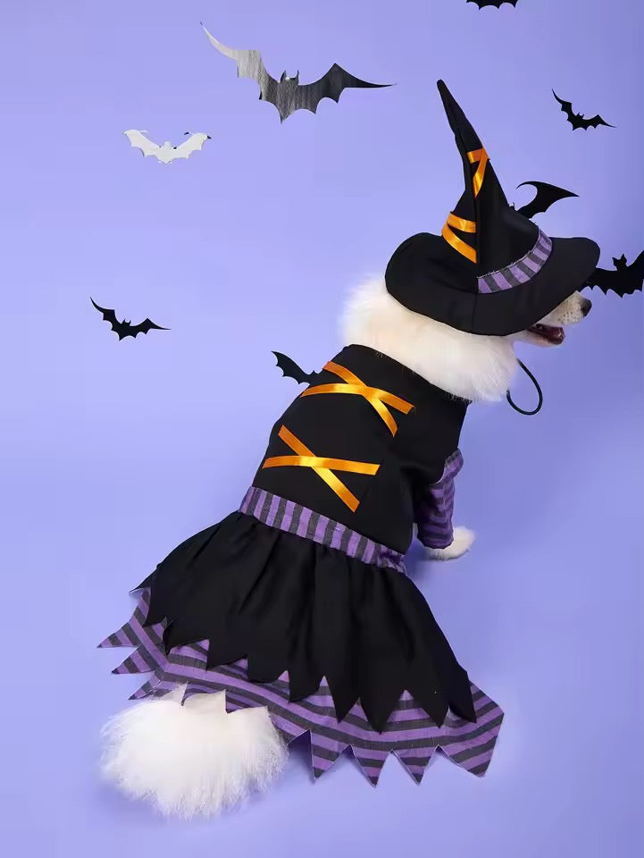 Dog wearing a Halloween witch costume with a hat and dress on a purple background with bats.