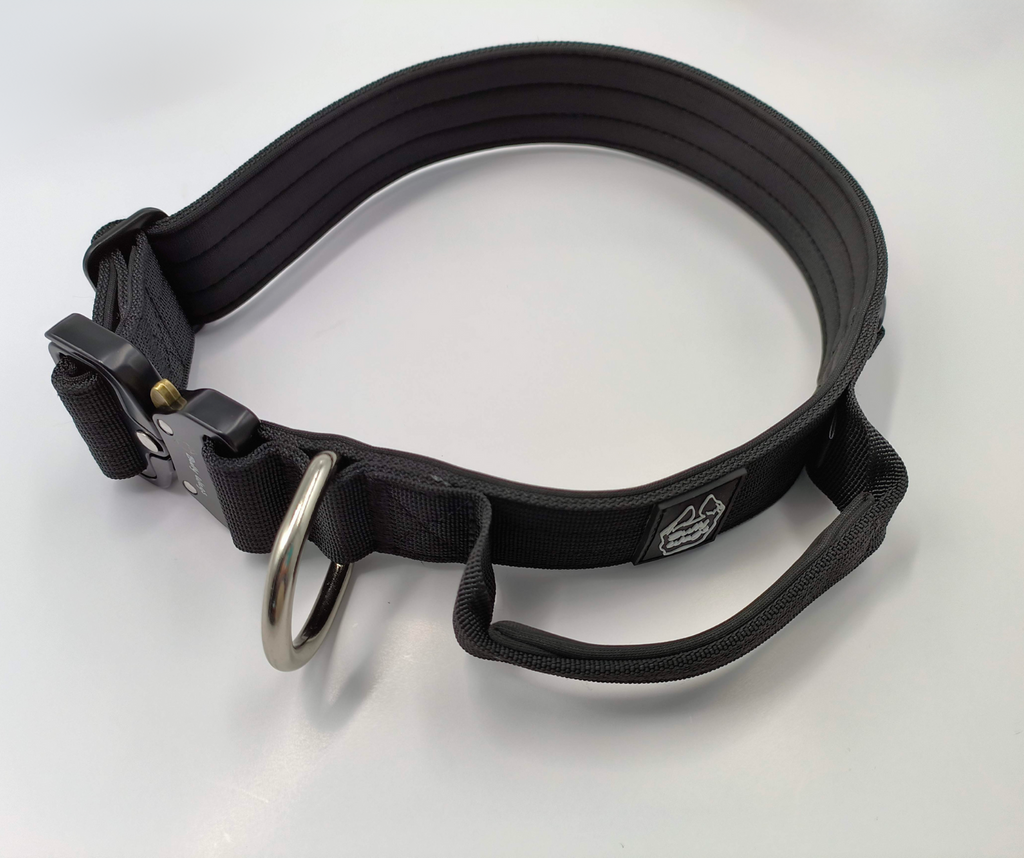 Black dog collar with metal D-ring on a white background