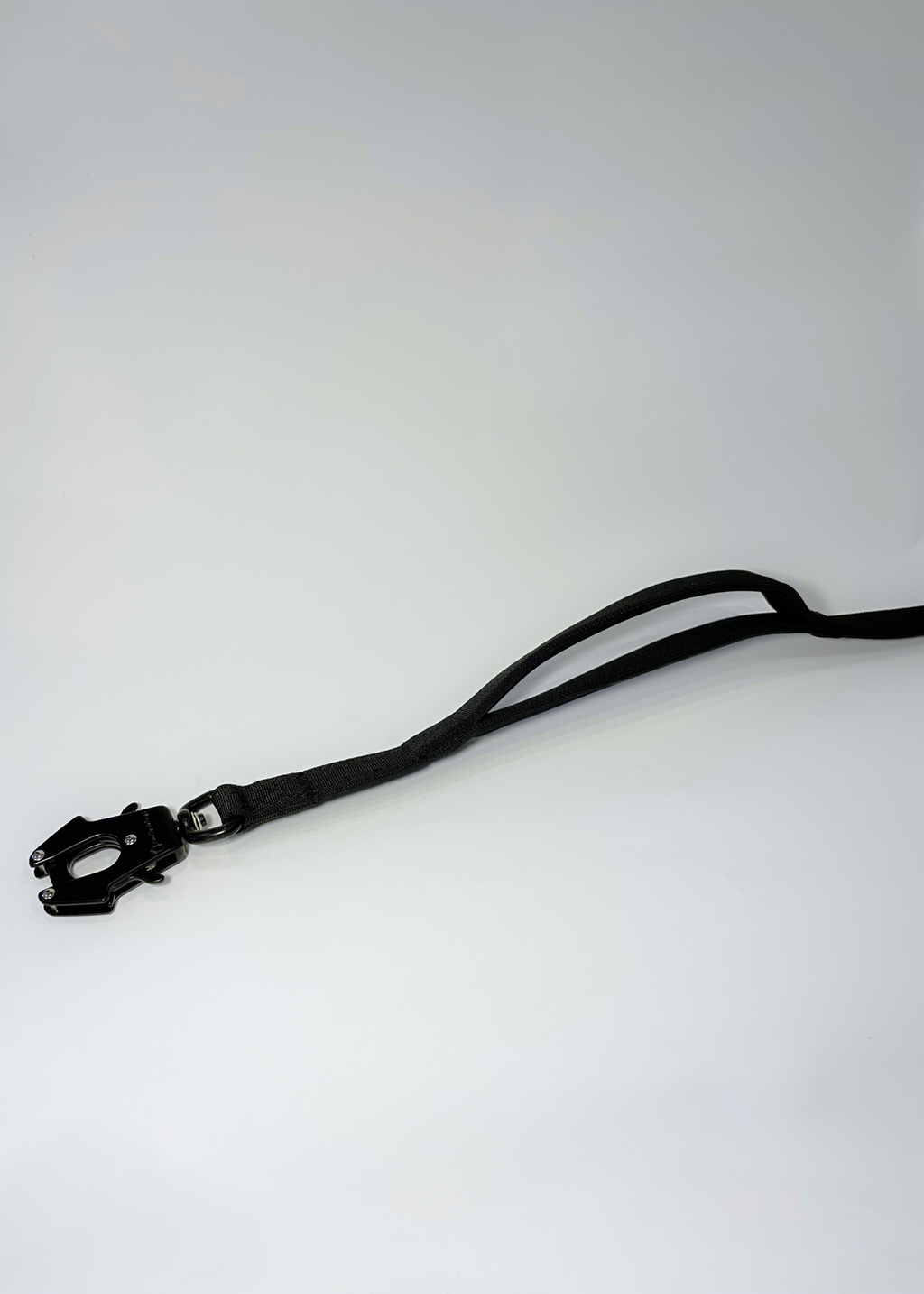 Black leash on a white background