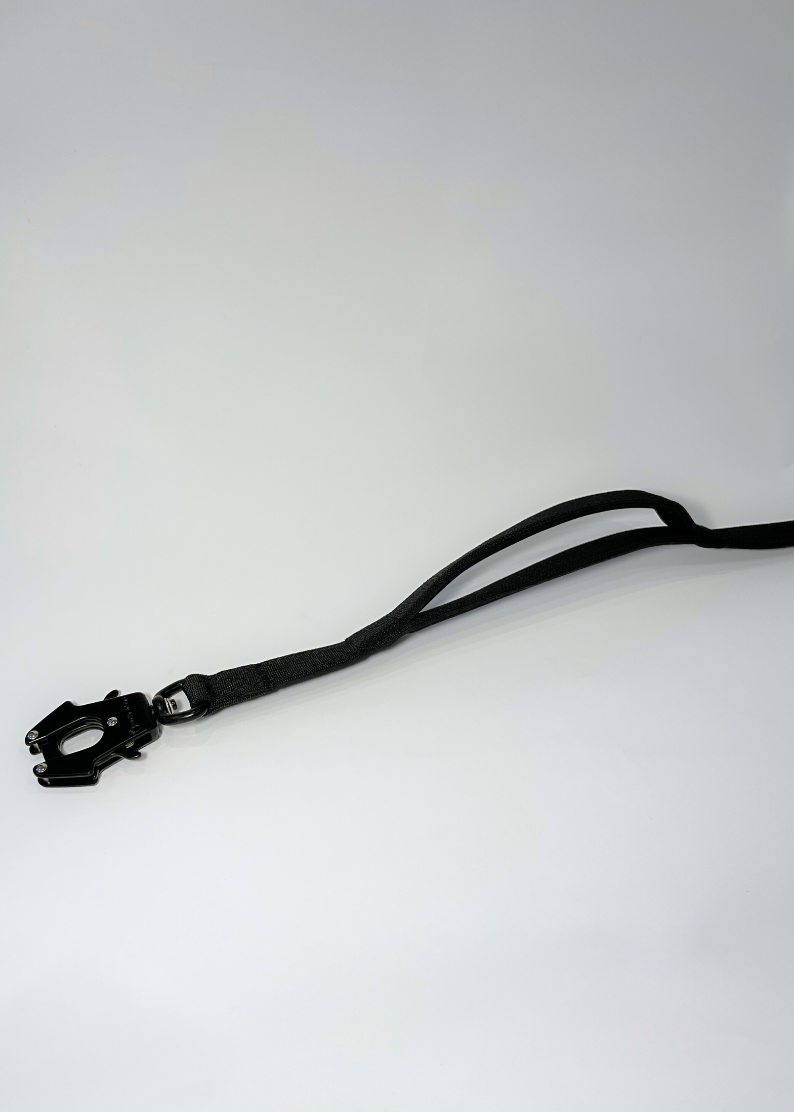 Black leash on a white background