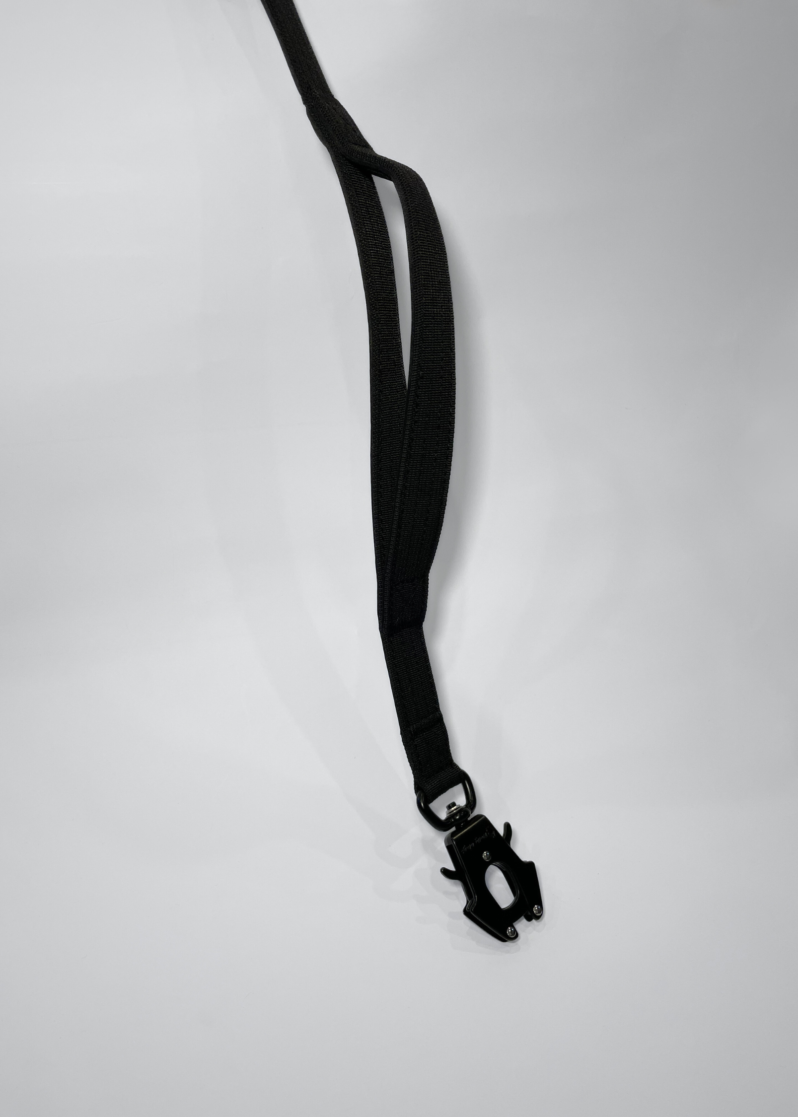 Black dog leash with a clip on a light gray background