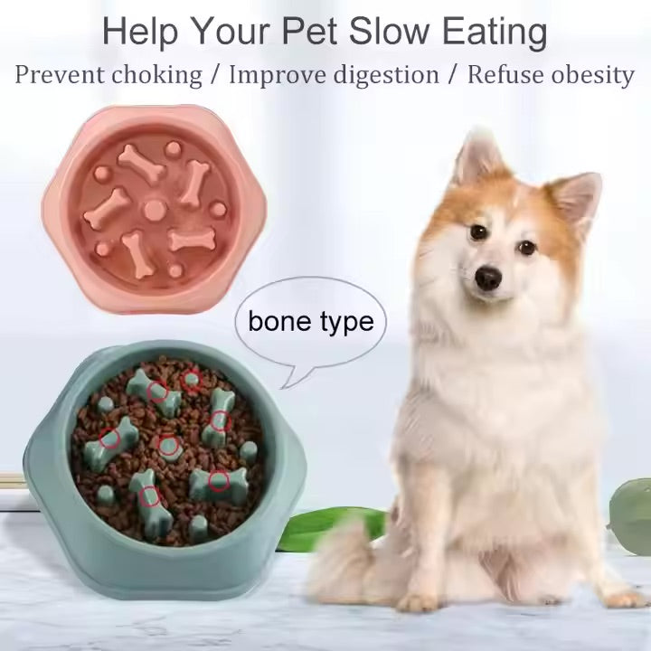 Dog slow feeder with text on preventing choking, improving digestion, and refusing obesity.