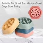 Dog food bowls with slow eating features on a marble surface