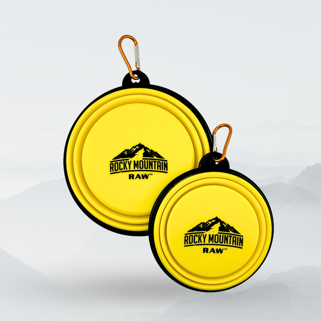 Two yellow pet bowls with 'Rocky Mountain Raw' logo on a white background