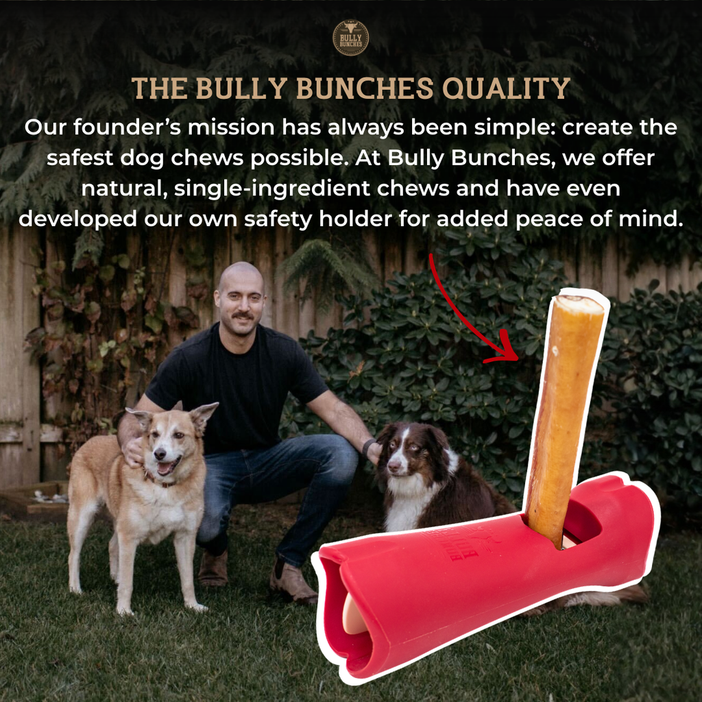 Man with two dogs in a garden setting, featuring a dog chew product and text about Bully Bunches quality.