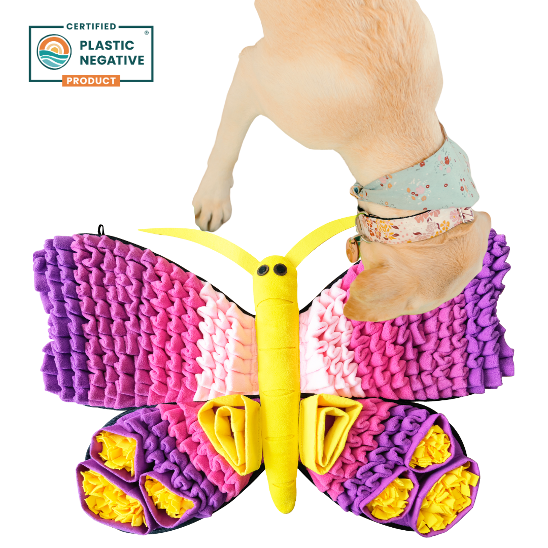 Butterfly-shaped dog toy with a dog wearing a floral bandana on a white background